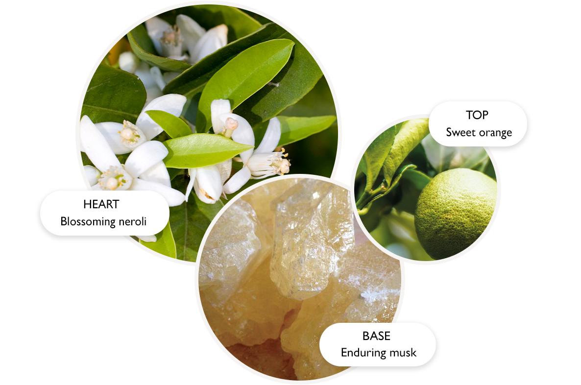 Three circular images: orange blossoms labeled Heart: Blossoming neroli, a green orange labeled Top: Sweet orange, and amber-hued crystals labeled Base: Enduring musk.