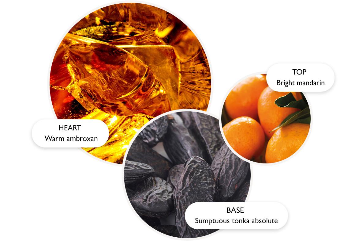 Three overlapping circles show fragrance notes: the top circle has bright mandarins labeled TOP: Bright mandarin, the left circle shows amber with HEART: Warm ambroxan, and the bottom circle shows tonka beans labeled BASE: Sumptuous tonka absolute.