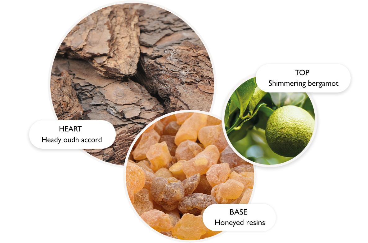 Three circles show fragrance notes: textured bark for Heart – Heady oudh accord, a green citrus fruit for Top – Shimmering bergamot, and amber resin pieces for Base – Honeyed resins.