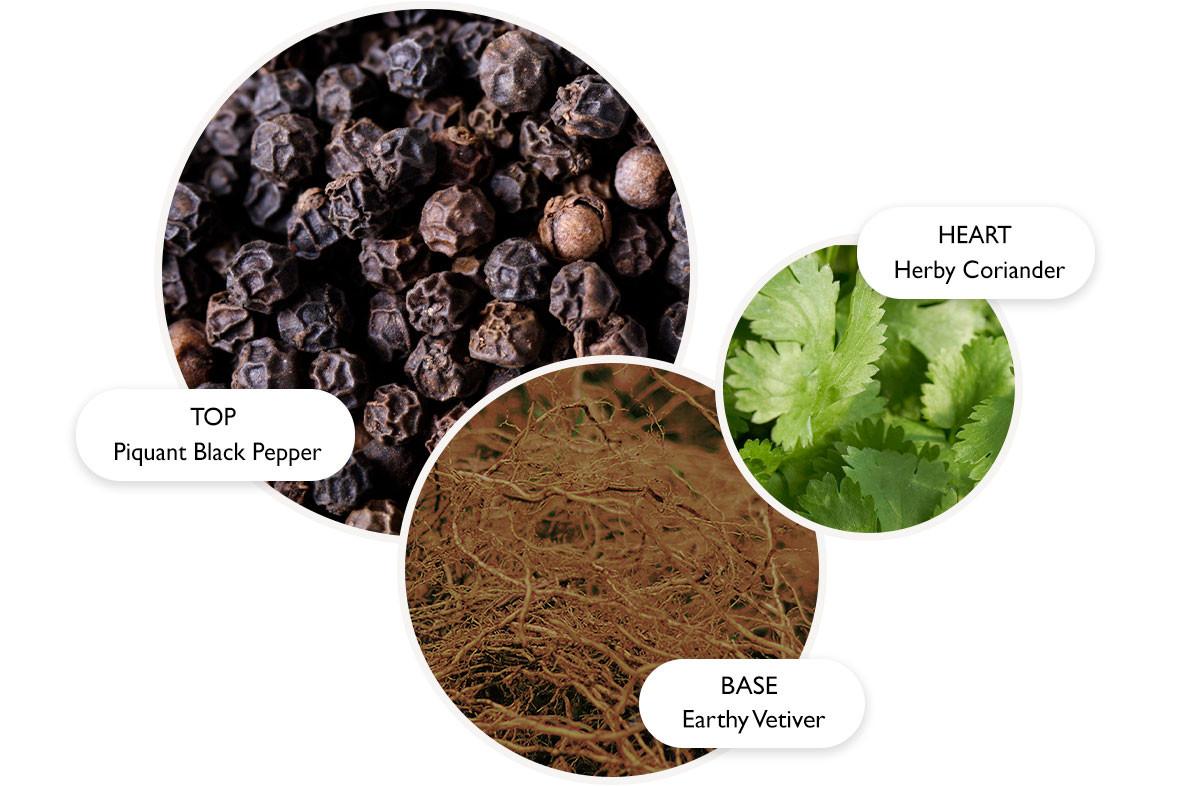 Close-up of different types of herbs.