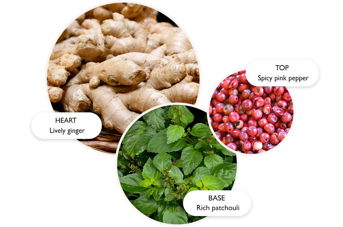 Three labeled circles show the ingredients of a fragrance: lively ginger for the heart, spicy pink pepper for the top, and rich patchouli for the base, each with corresponding images of the ingredients.