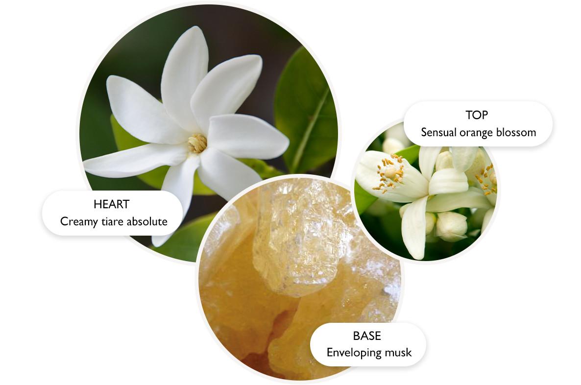 Three overlapping circles show images representing perfume notes: a white tiare flower labeled HEART: Creamy tiare absolute, orange blossoms labeled TOP: Sensual orange blossom, and crystals labeled BASE: Enveloping musk.