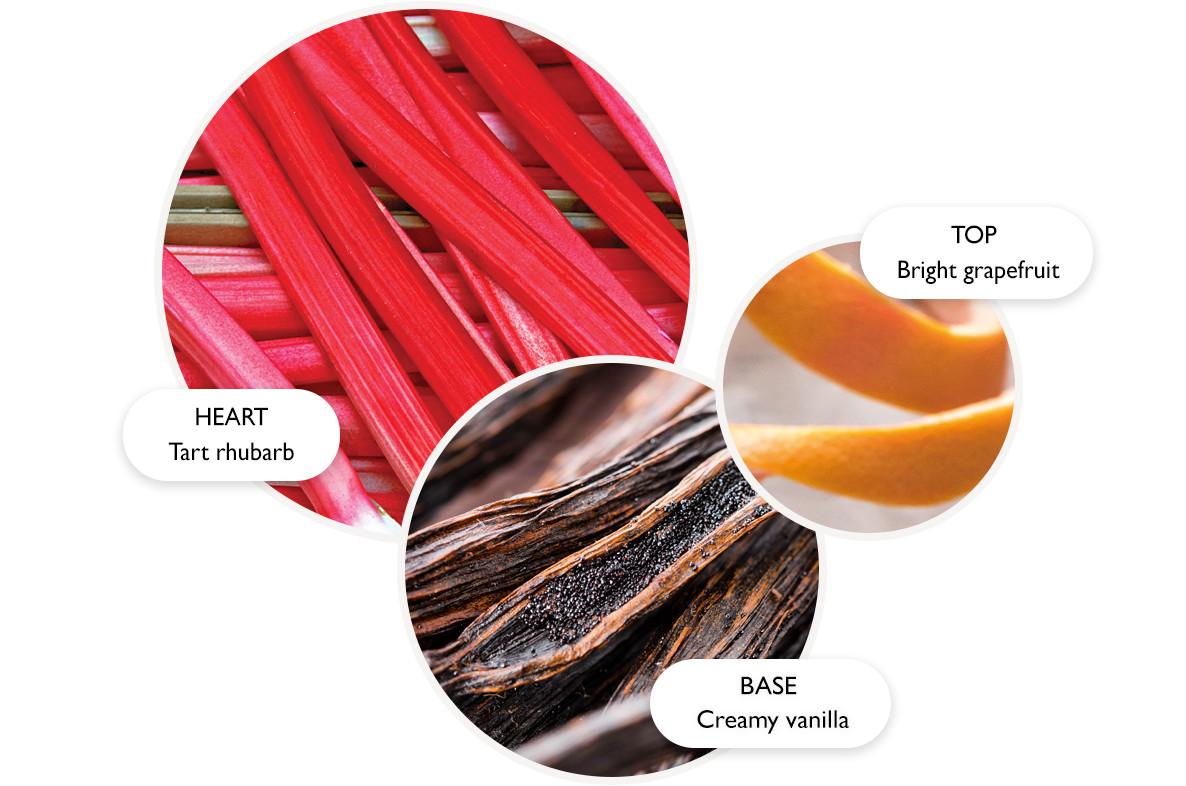 Three overlapping circles show close-ups of rhubarb (labeled Heart: Tart rhubarb), grapefruit peel (Top: Bright grapefruit), and vanilla beans (Base: Creamy vanilla), representing fragrance notes.