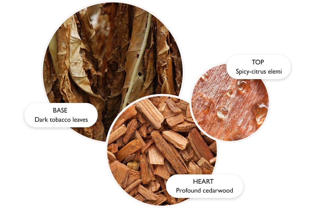 Three close-up circular images show dark tobacco leaves (labeled BASE), spicy-citrus elemi resin (labeled TOP), and cedarwood chips (labeled HEART), representing fragrance notes.
