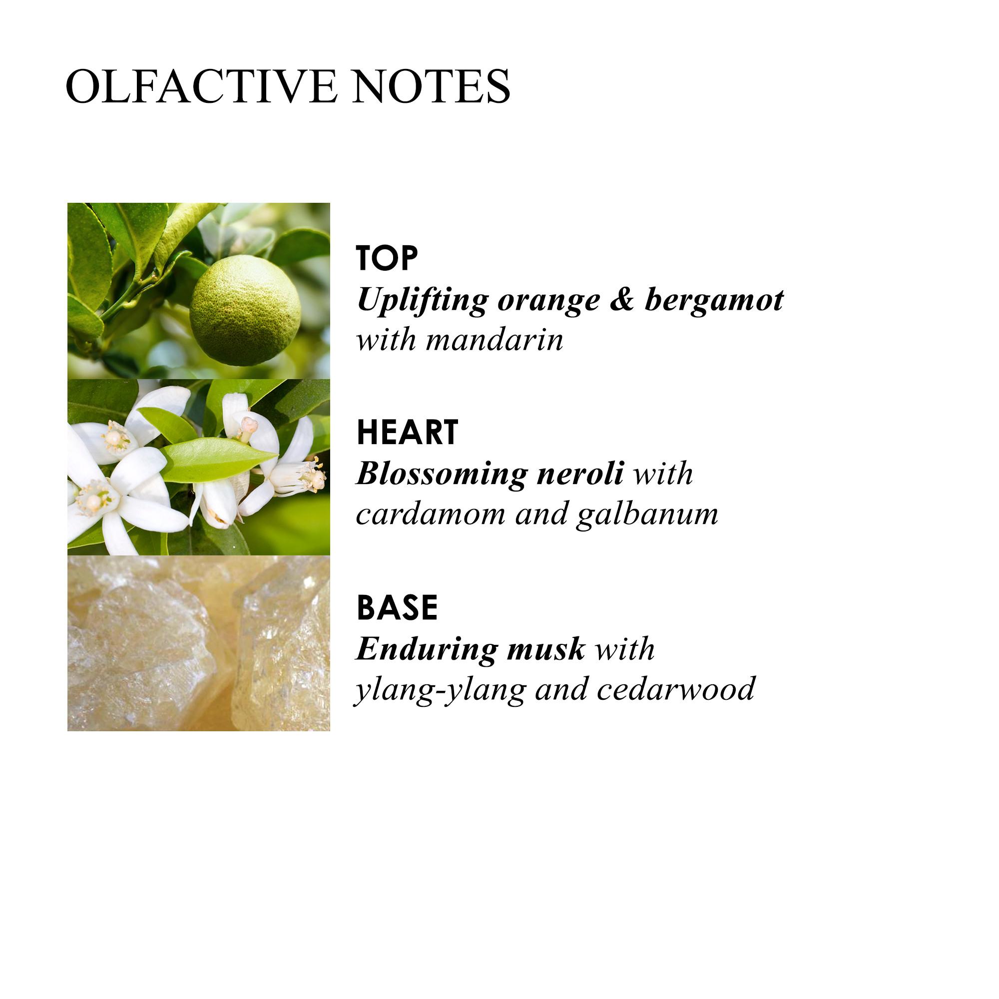 The fragrance pyramid of MoltonBrown Nederlands Orange & Bergamot Luxury Kaars 600g features top notes of orange, bergamot, and mandarin; a heart of neroli, cardamom, galbanum; base notes of musk, ylang-ylang, and cedarwood.