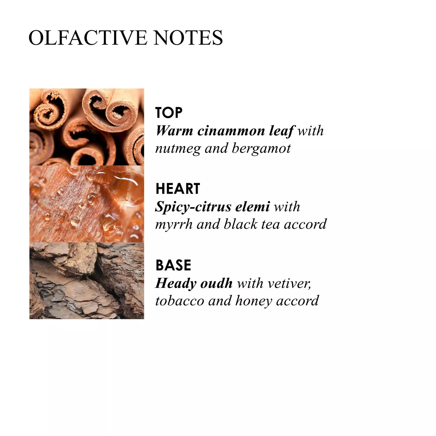 Discover MoltonBrown Nederlands’ Mesmerising Oudh Accord & Gold Signature Kaars 190g, featuring warm cinnamon leaf, nutmeg, and bergamot top notes; spicy-citrus elemi heart; and a rich base of oudh accord, vetiver, tobacco, and honey.