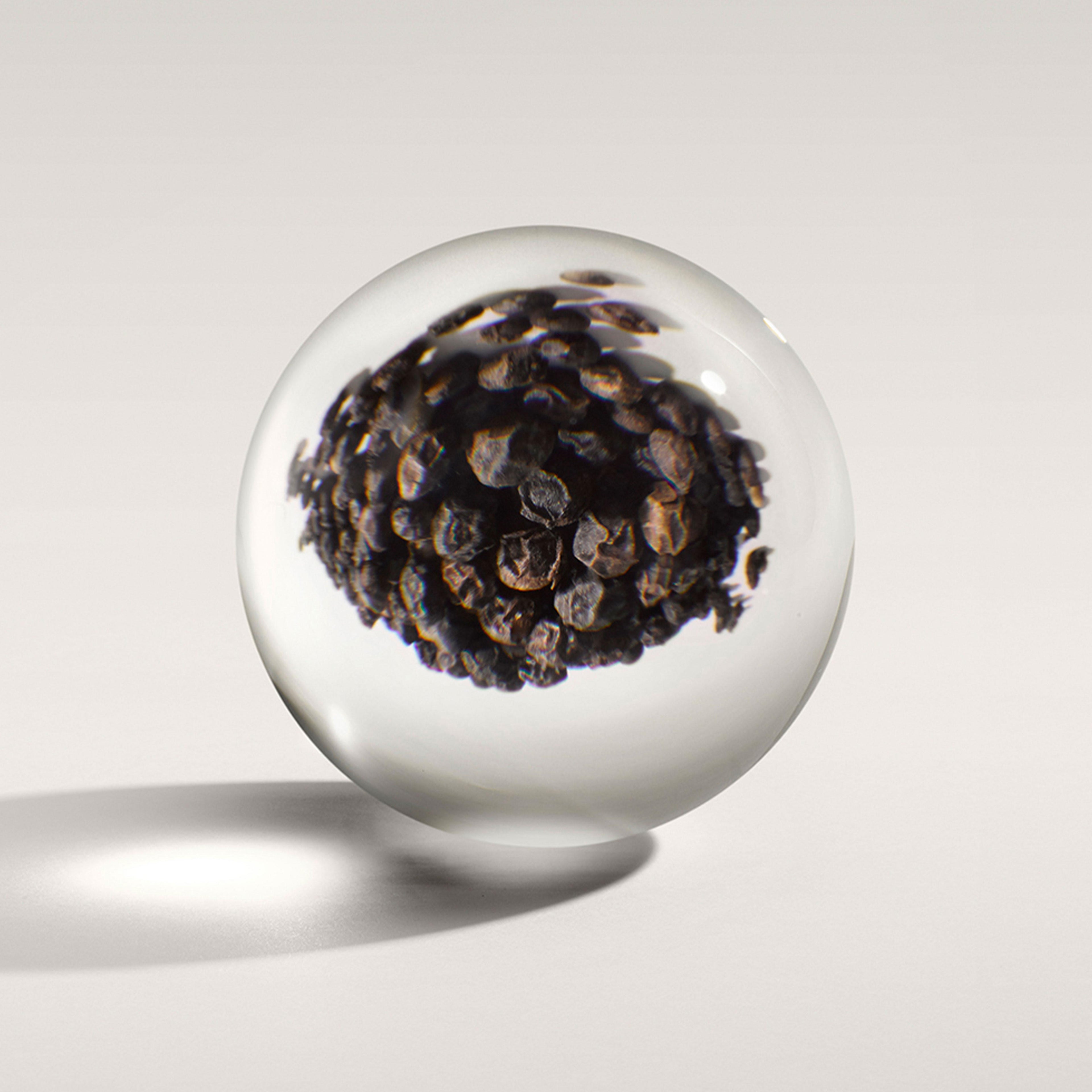 A bottle of Re-charge Black Pepper Bodylotion 300ml by MoltonBrown Nederlands stands on a light, neutral background, echoing the essence of zwarte peper peppercorns with its sleek, clear design that casts a soft shadow.