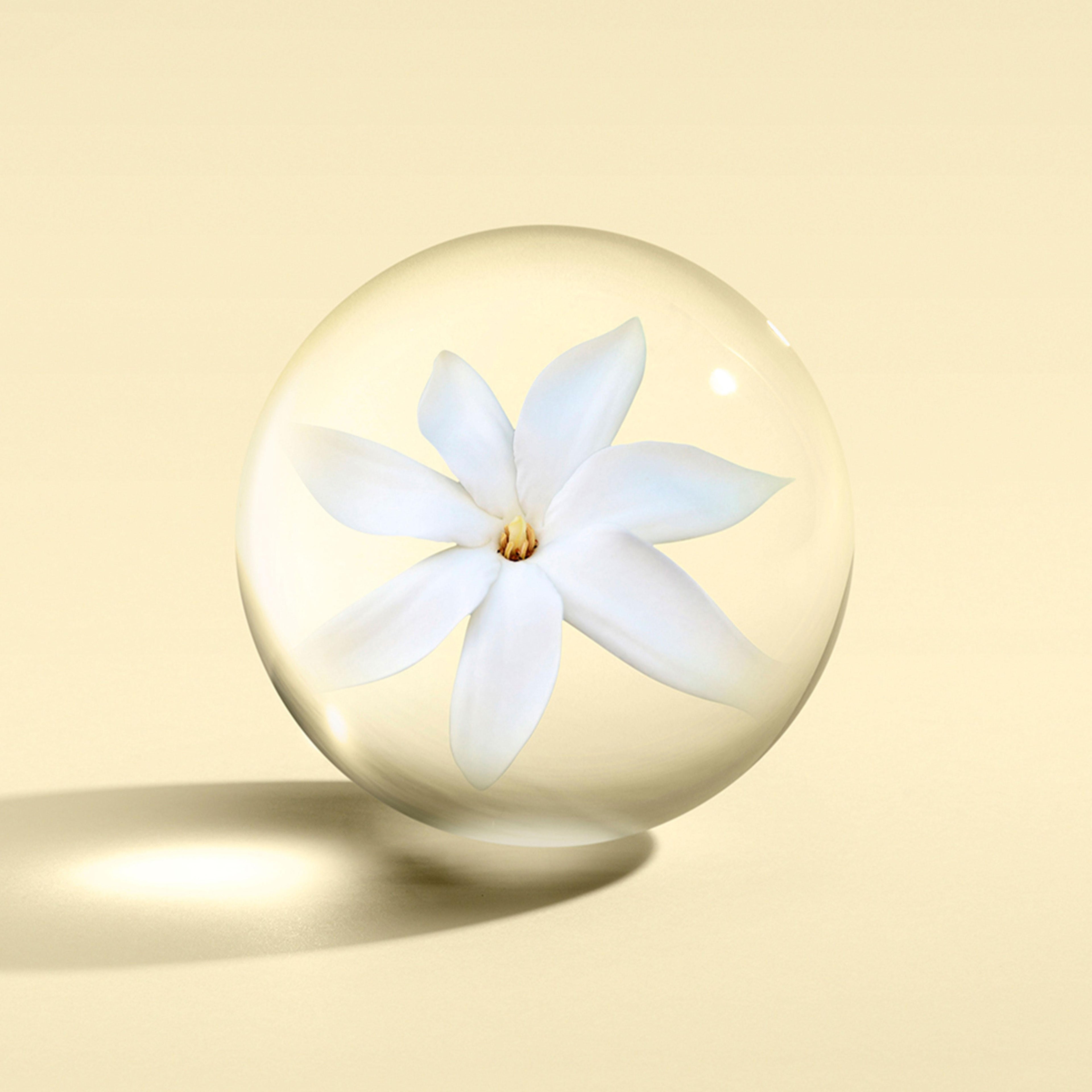 A delicate tiaré white flower sits in a clear glass sphere on a pale beige surface, evoking the gentle essence of MoltonBrown Nederlands Flora Luminare Bodylotion 300ml.