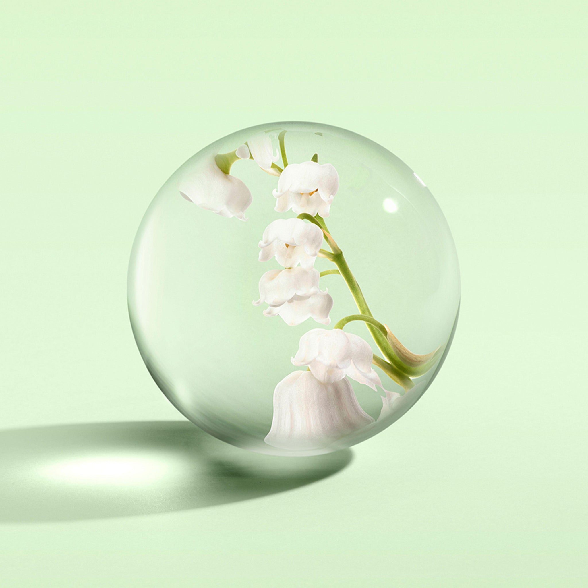 A delicate lily of the valley is encased in glass against pastel green, echoing MoltonBrown Nederlands’ Lily & Magnolia Blossom Bad- & Douchegel 300ml—net als een wit-bloemige douchegel geïmporteerd uit Engeland.