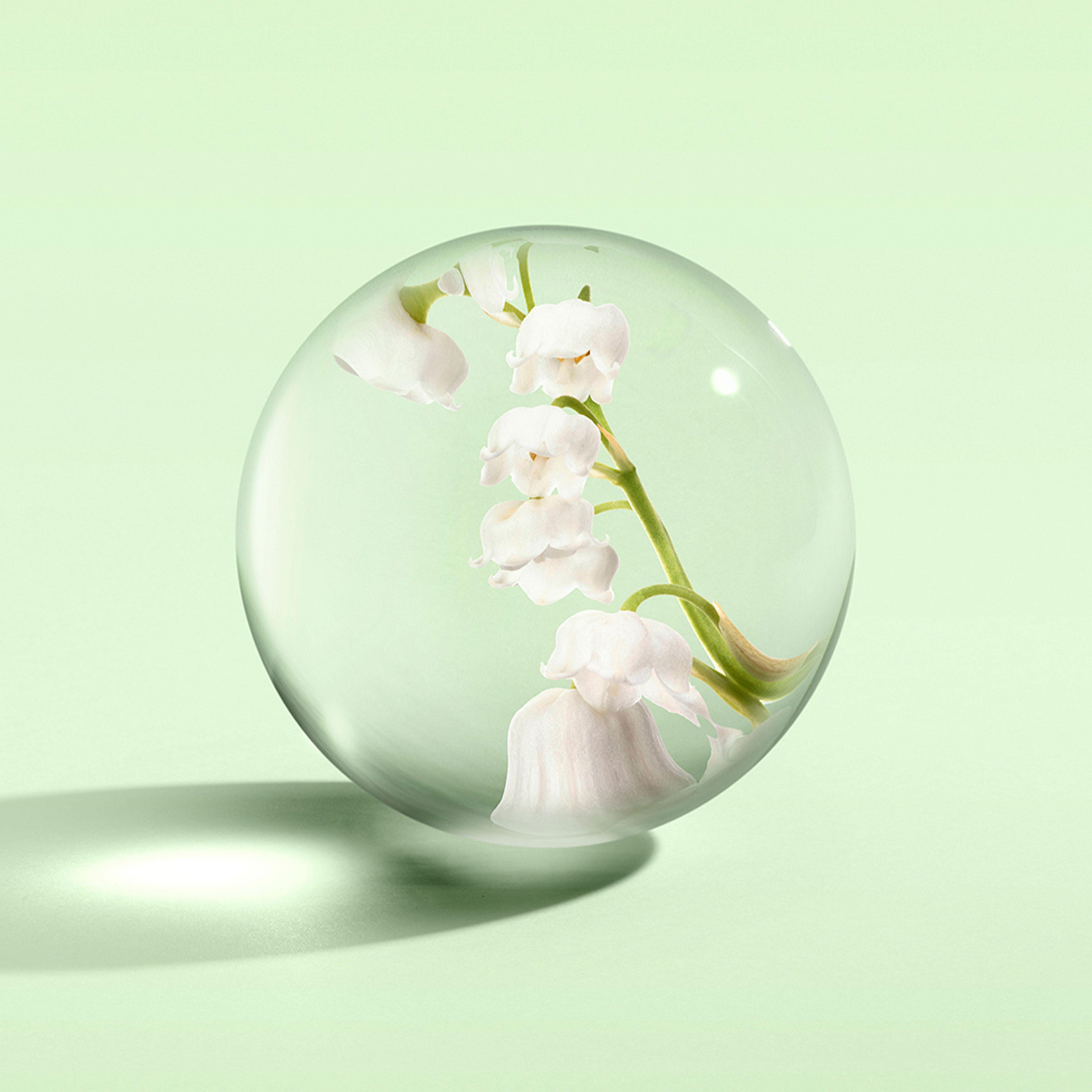 A delicate lily of the valley is encased in glass against pastel green, echoing MoltonBrown Nederlands’ Lily & Magnolia Blossom Bad- & Douchegel 300ml—net als een wit-bloemige douchegel geïmporteerd uit Engeland.
